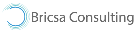Bricsa Consulting Logo